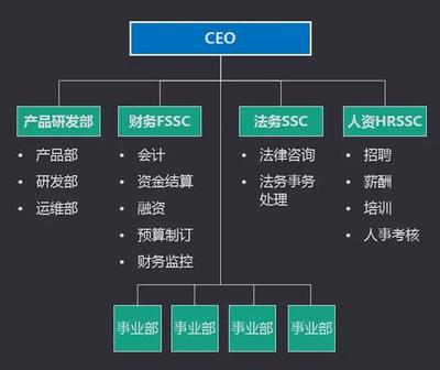 SSC新业务报账系统建设中的财务咨询价值与实践路径